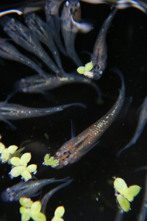 [画像:e22c394c-s.jpg]