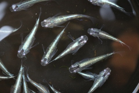 20180720122924_IMG_7169