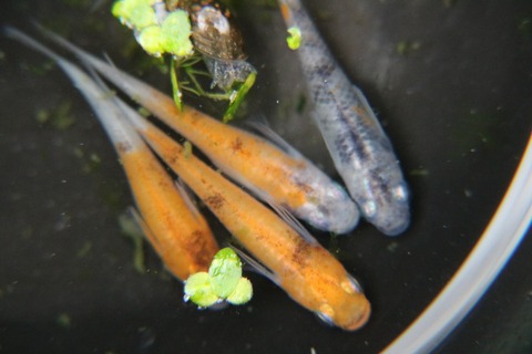 20180109143529_IMG_2673