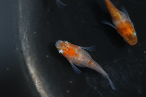 20200322112538_1V5A9120