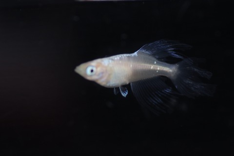 20190725121045_1V5A7691