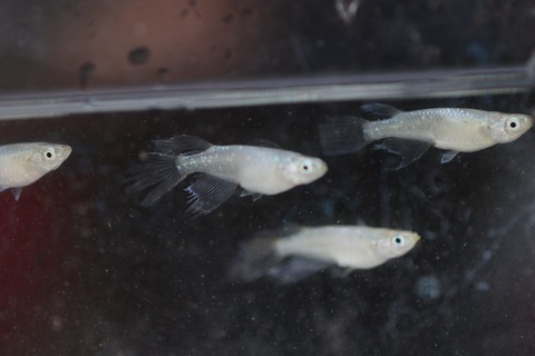 20190829120541_1V5A9605