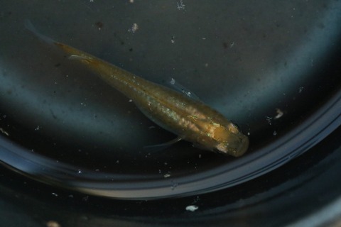 20240521181136_1V5A6219