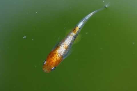 20191013105520_1V5A1666