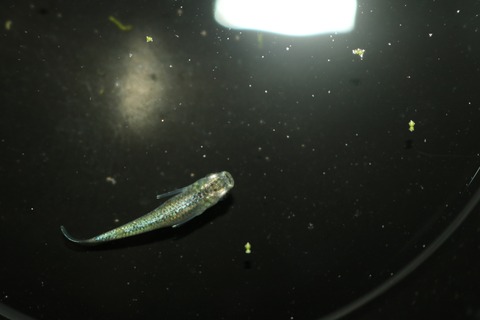 20180801182226_IMG_7716