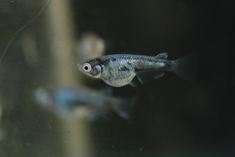 20190311175046_IMG_4472