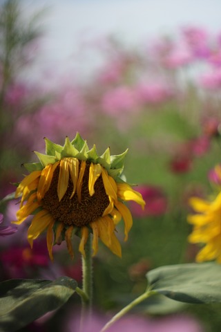 20191028143850_IMG_8426