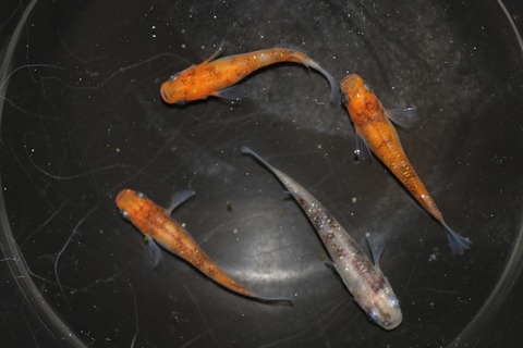 20190417152108_IMG_6430