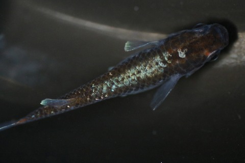 20210401171216_1V5A0647