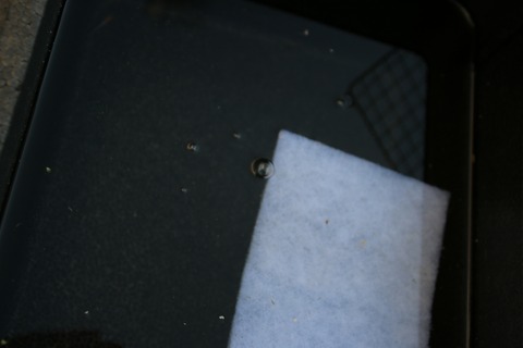 [画像:ee7c015a-s.jpg]