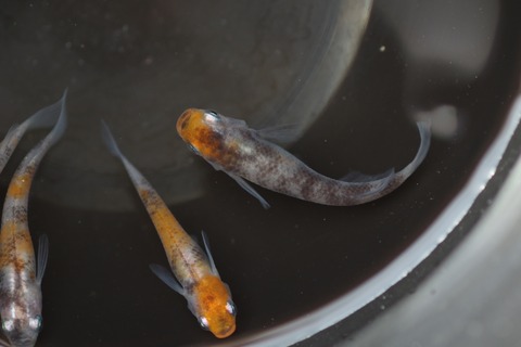 20200302161045_1V5A8303