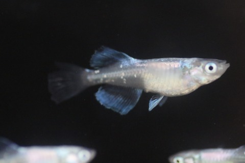 20190712171548_1V5A7406