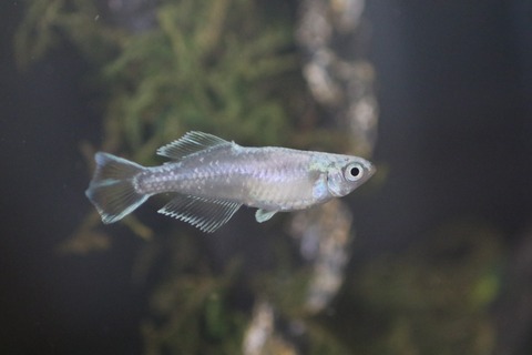 20191006103021_1V5A1556