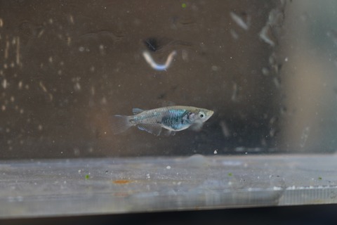 20180730180717_IMG_7663