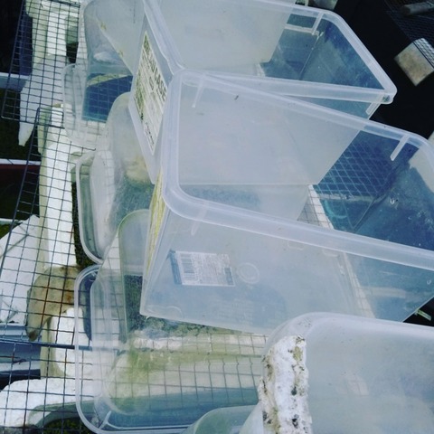 [画像:f1303c0f-s.jpg]