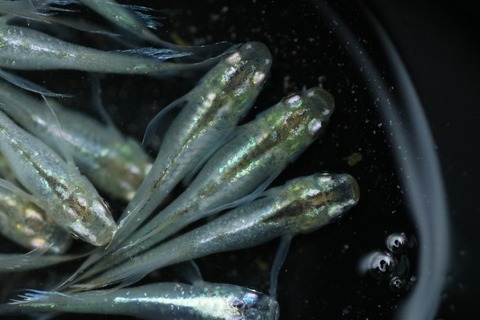 20200728185445_IMG_2080