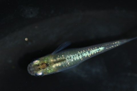 20200322114358_1V5A9149