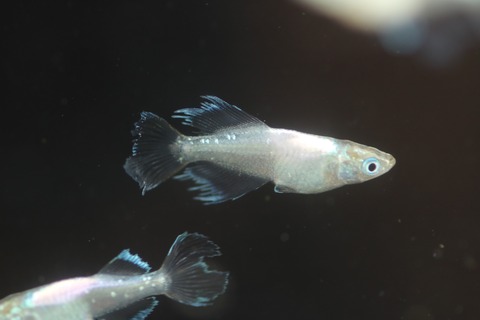 20200918143850_IMG_3513