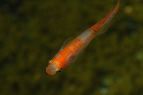 20210227101024_1V5A9913