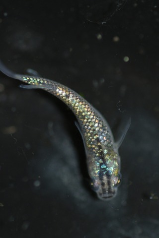 20200331103956_1V5A9341