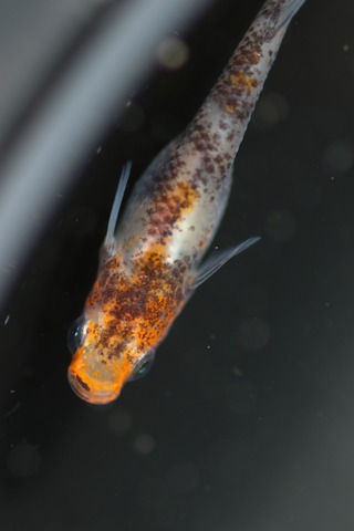 20200322101342_1V5A9028