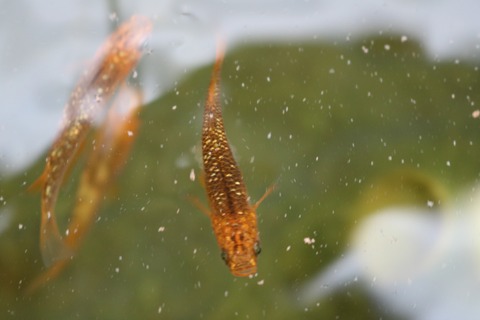 20180319101846_IMG_3979