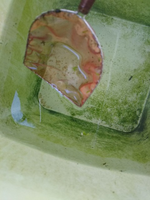 [画像:f48c4abd-s.jpg]