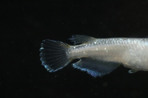 20190417142349_IMG_6368