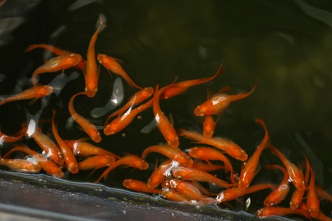 20190802111203_1V5A8392