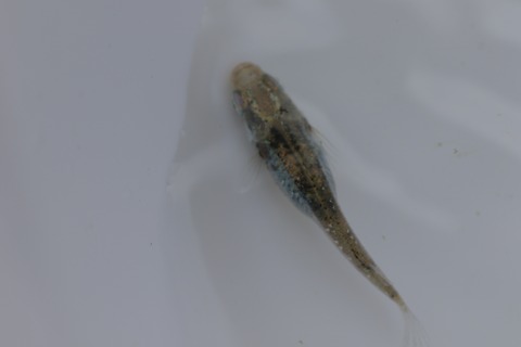 20200315124149_1V5A8804