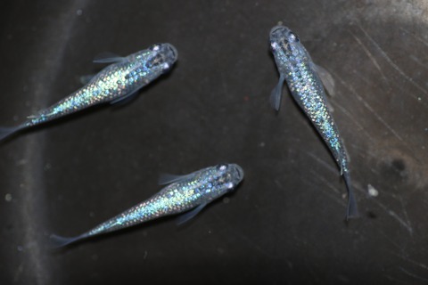 20200831190114_IMG_3084