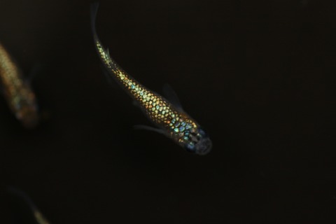 20220309121858_1V5A3458