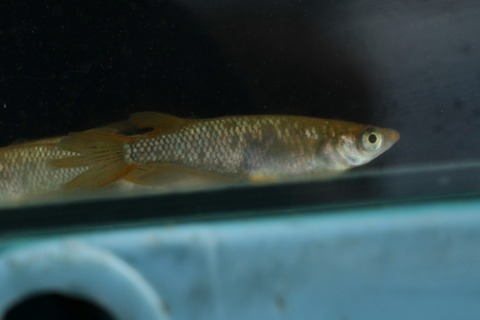 20210227101256_1V5A9916