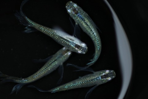 20190829120700_1V5A9618