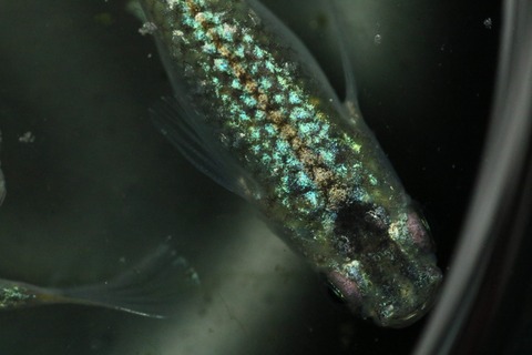 20240531140820_1V5A6249