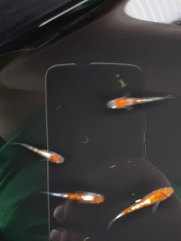 20220724_083636