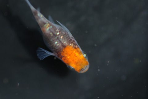 20200322112434_1V5A9111