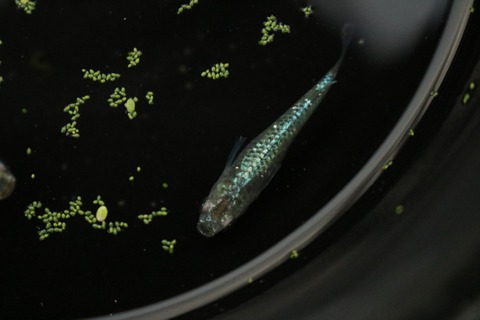 20181016173431_IMG_9771