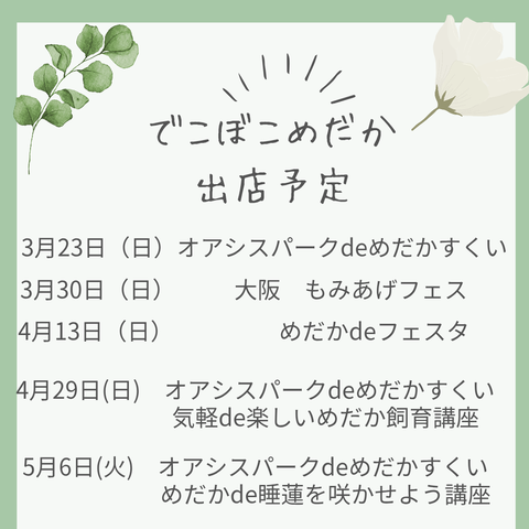 緑　ナチュラル　制作事例　インスタグラム投稿　正方形_20250308_131010_0000