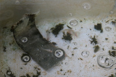 20180222143449_IMG_3507