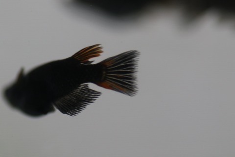 20190726183702_1V5A7882