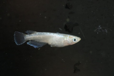 20190417142226_IMG_6364