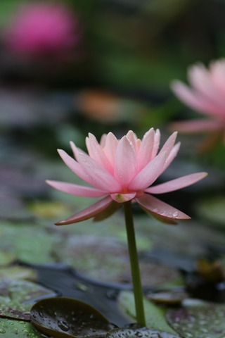 20190630095605_1V5A6900