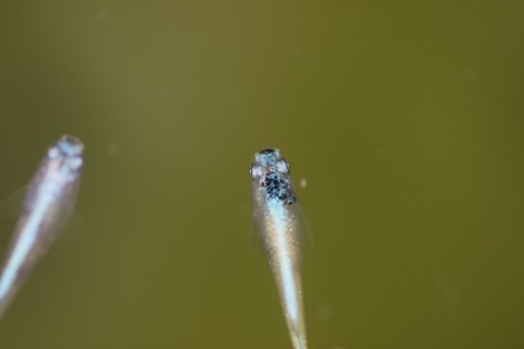 20191013105227_1V5A1647