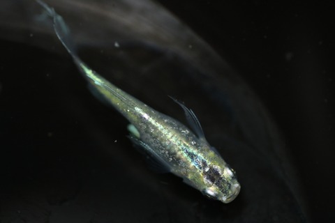 20200918143642_IMG_3504