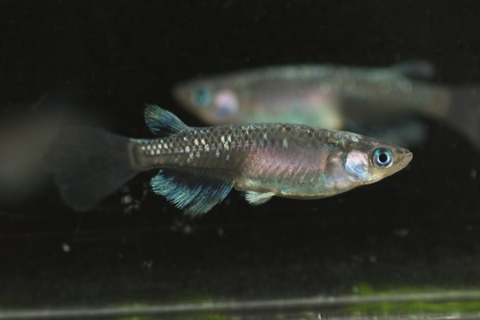 20200302160556_1V5A8285