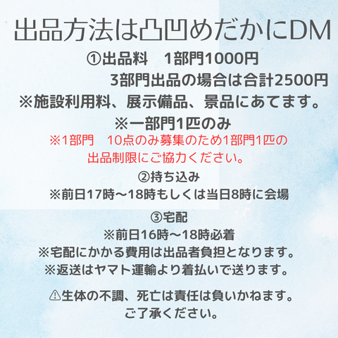 水色 白 ペイント お知らせ Instagram投稿_20250304_081353_0000