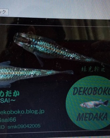 IMG_20191010_102710_290