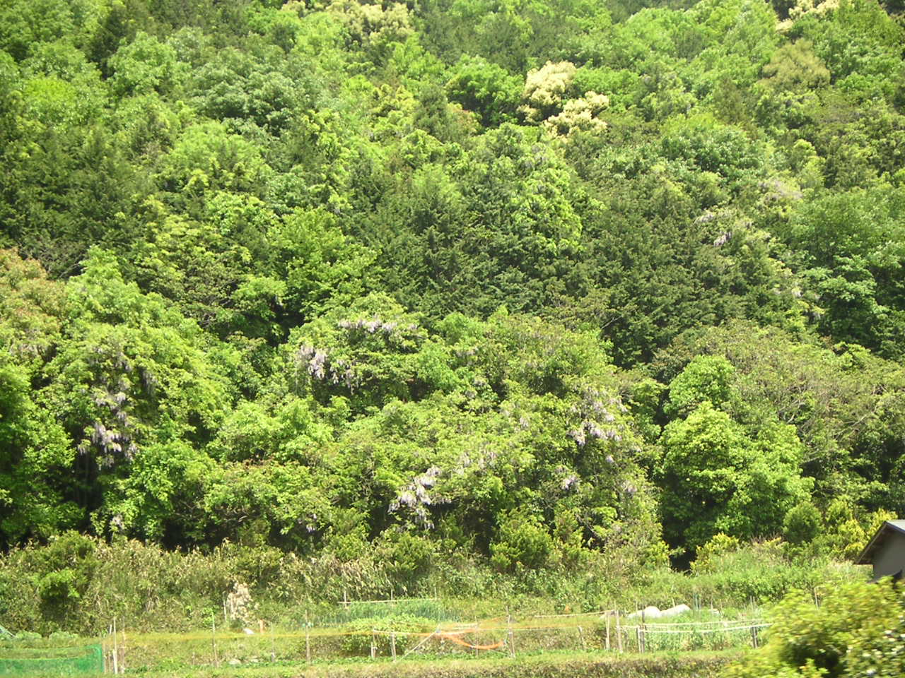 箕面市民工房リサイクルセンター 晴れ ママのひとりごと