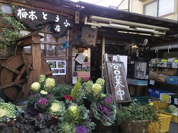 mayu 奈良の梅本豆腐店の豆腐を食べる リトグリ応援ブログ By 食彩 ガオラー mayu 奈良の梅本豆腐店の豆腐を食べる リトグリ応援ブログ By 食彩 ガオラー